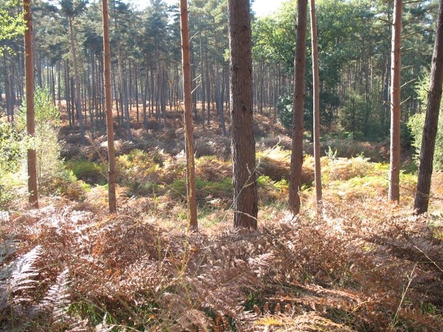 2007 10 Myco Pecqueuse 19